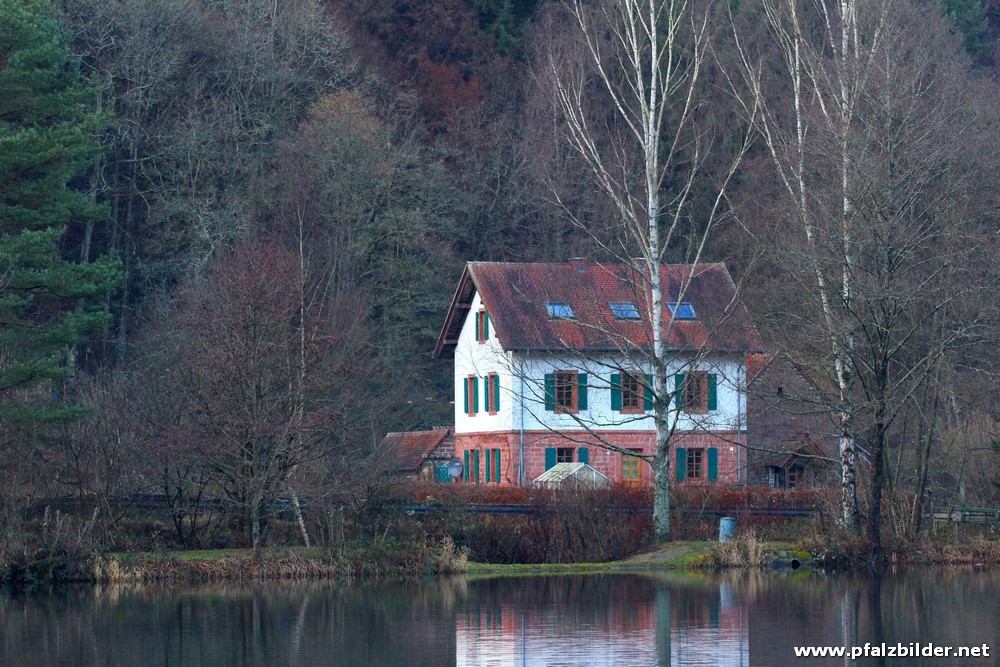 Helmbachweiher~004