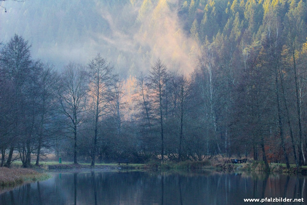 Helmbachweiher~005