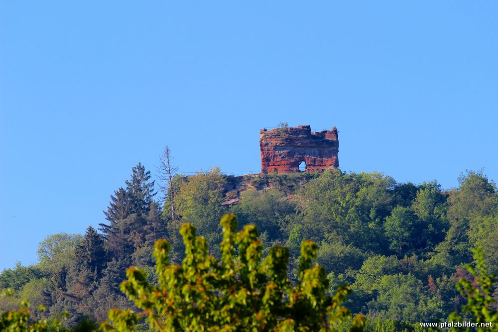 Drachenfels Busenberg~004