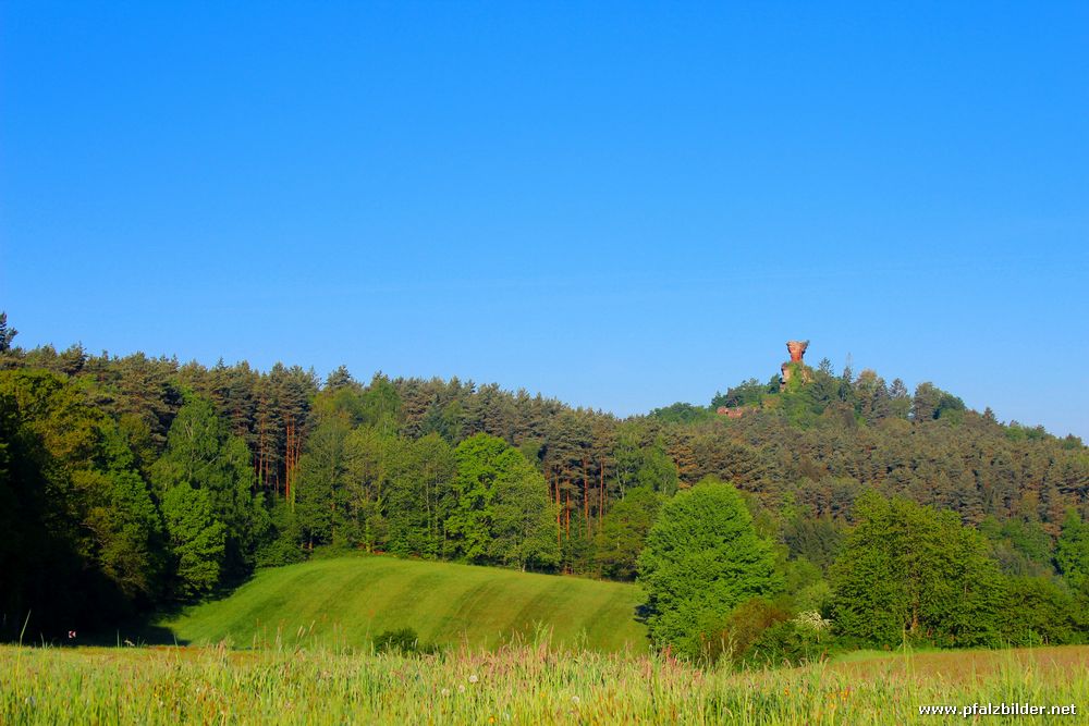 Drachenfels Busenberg~005