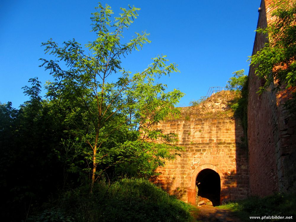 Drachenfels Busenberg~008