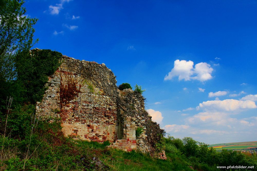 Burg Bolanden~004