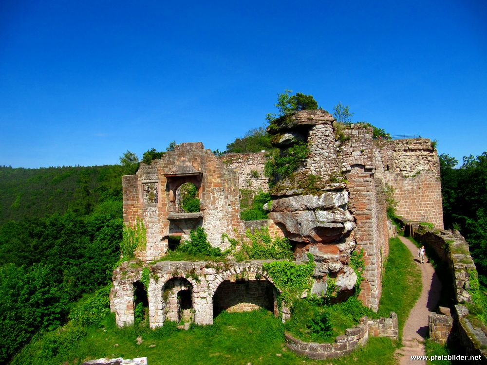 Burg Neuscharfeneck~003