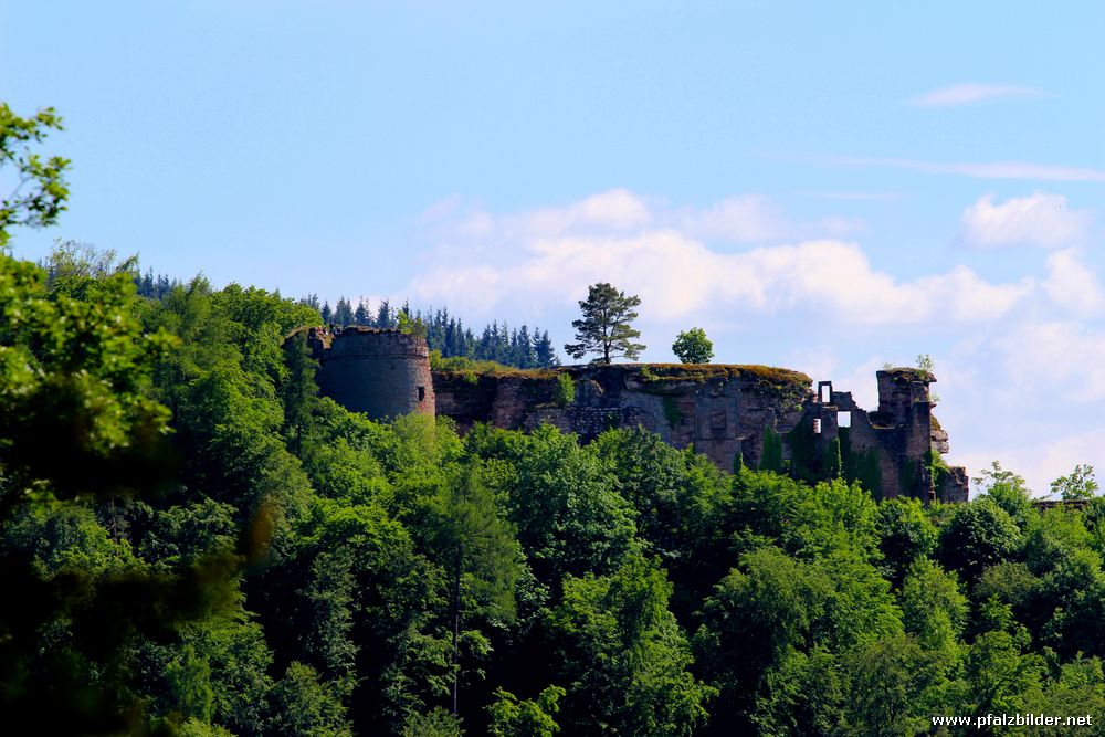 Burg Neuscharfeneck~004