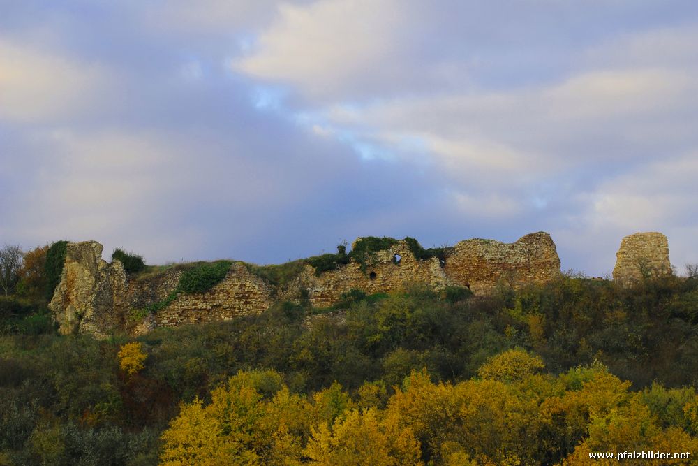 Burg Bolanden~001