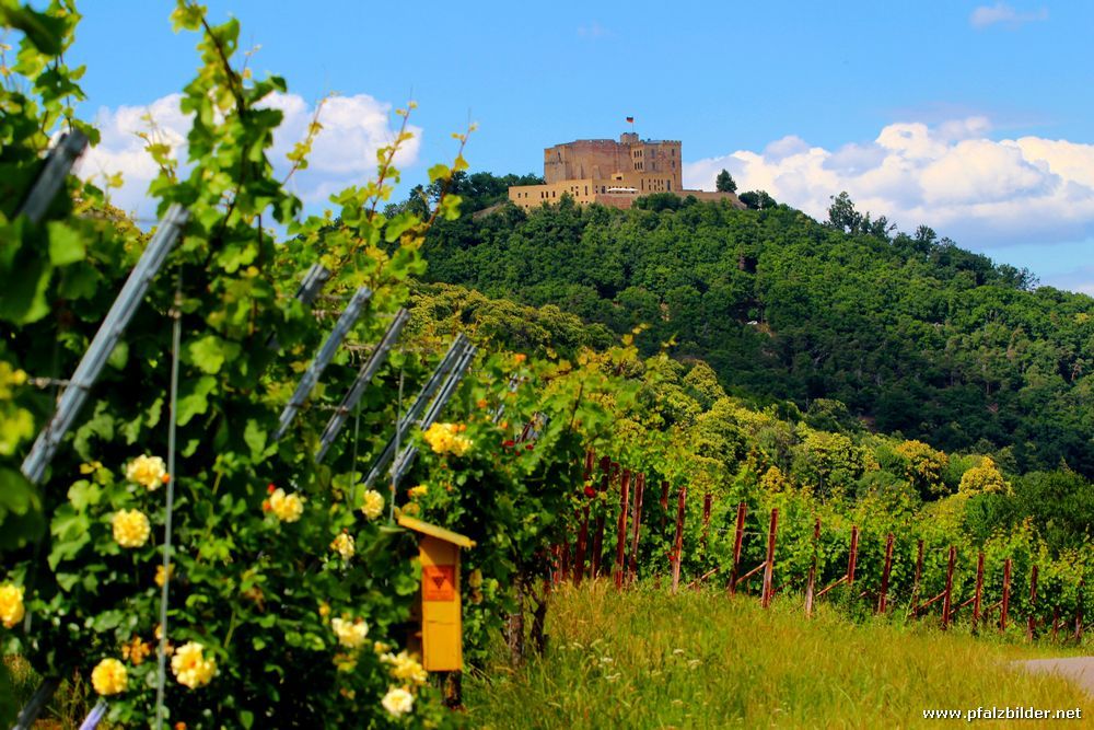 Hambacher Schloss~002