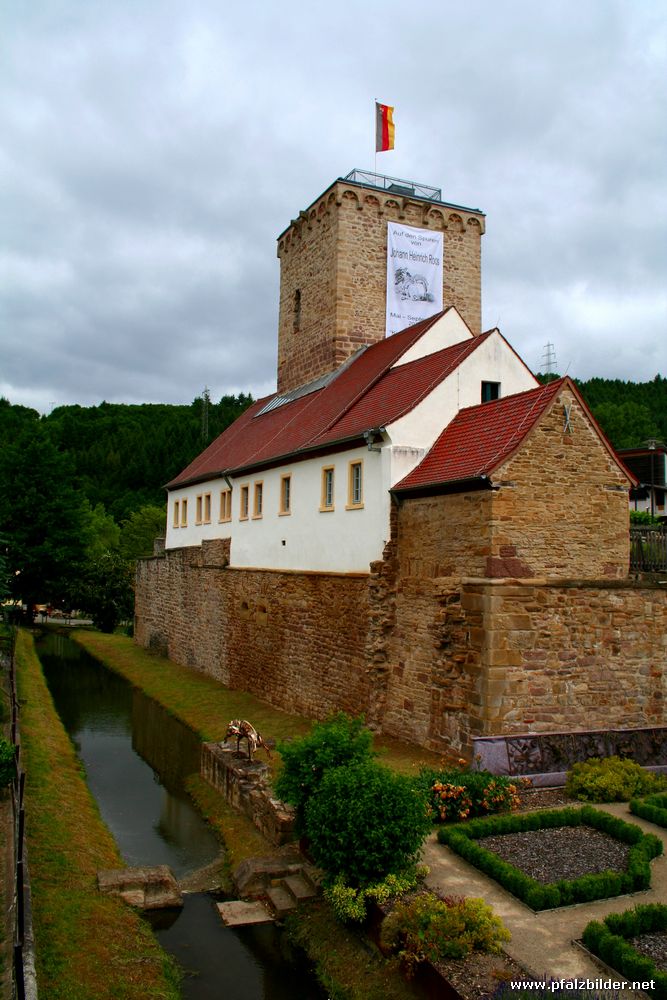 Reipoltskirchen Wasserburg~001