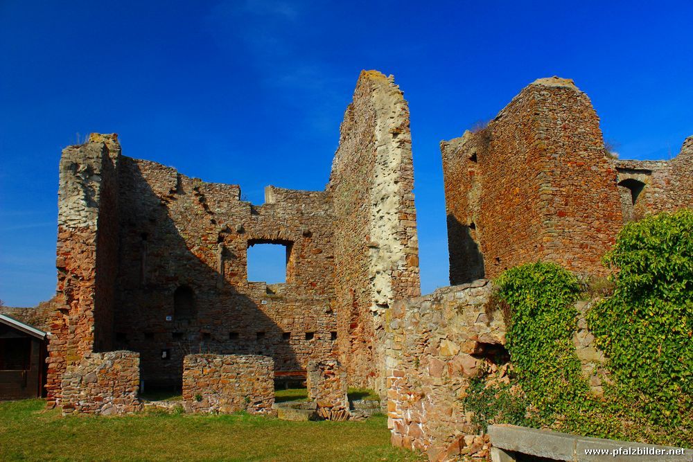 Ruine Montfort~002