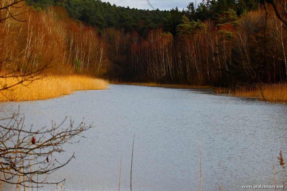 Neuhemsbach Weiher~001