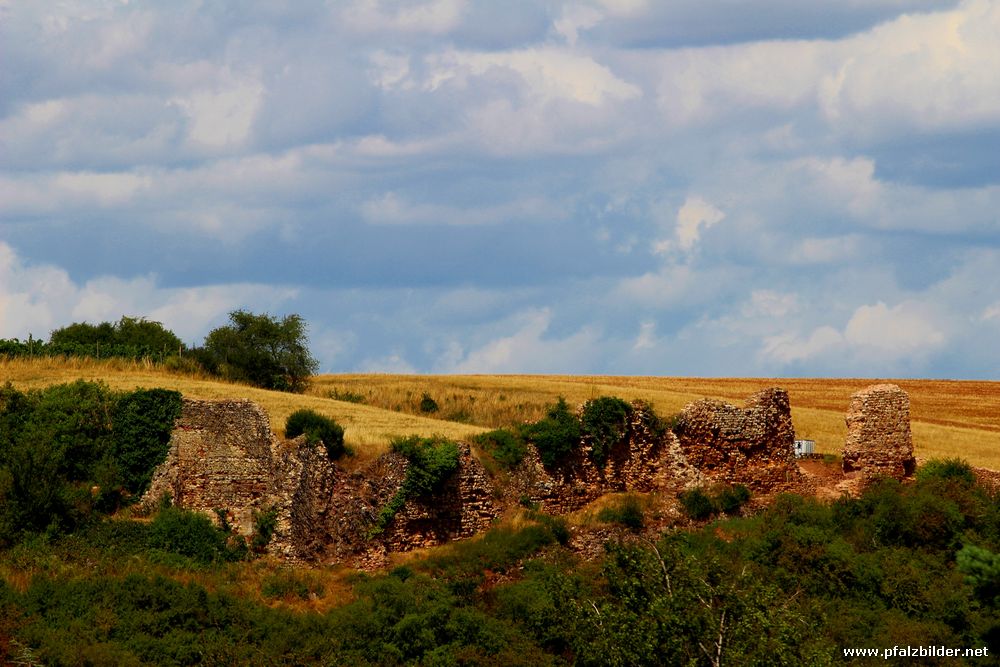 Burg Bolanden~004