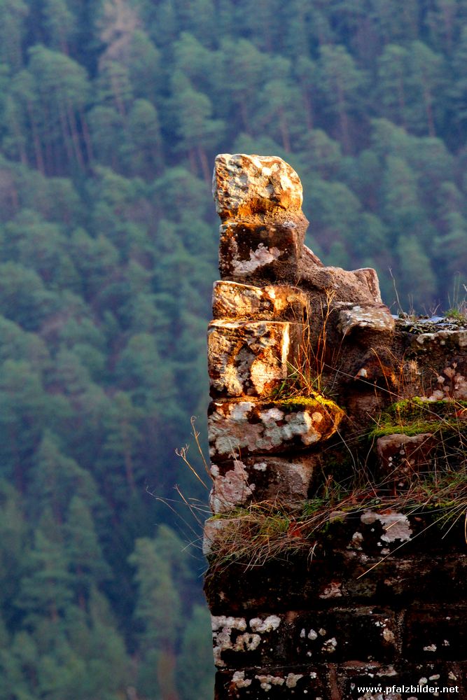 Breitenstein~003