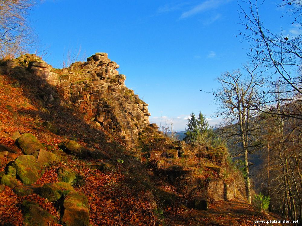 Breitenstein~008