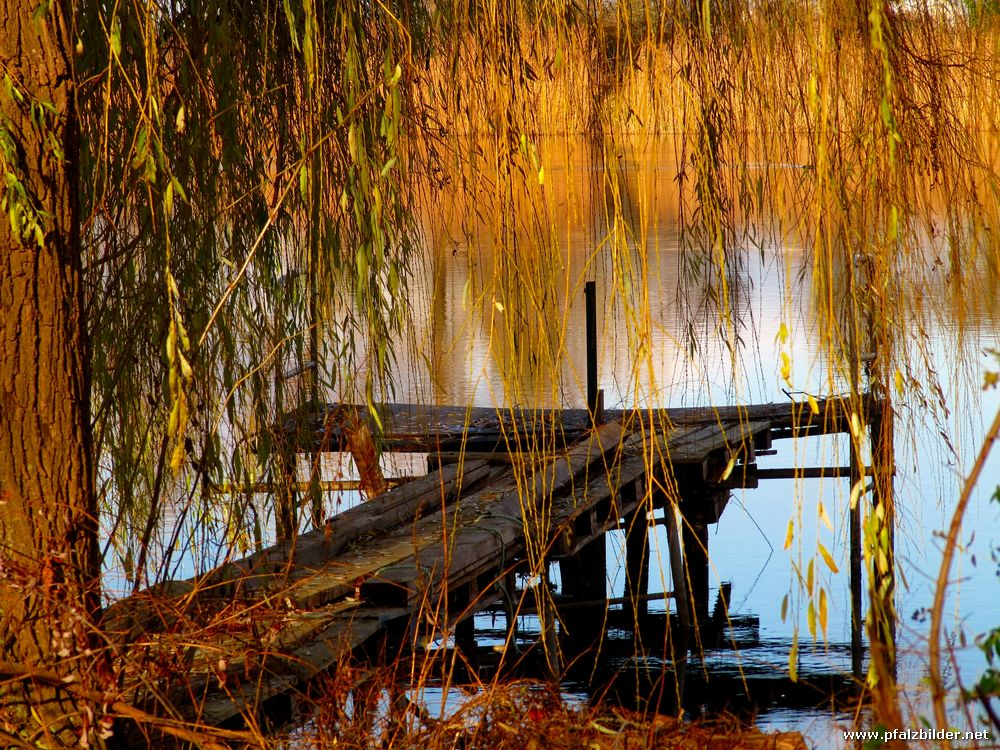 Flugplatzweiher Dannstadt~001