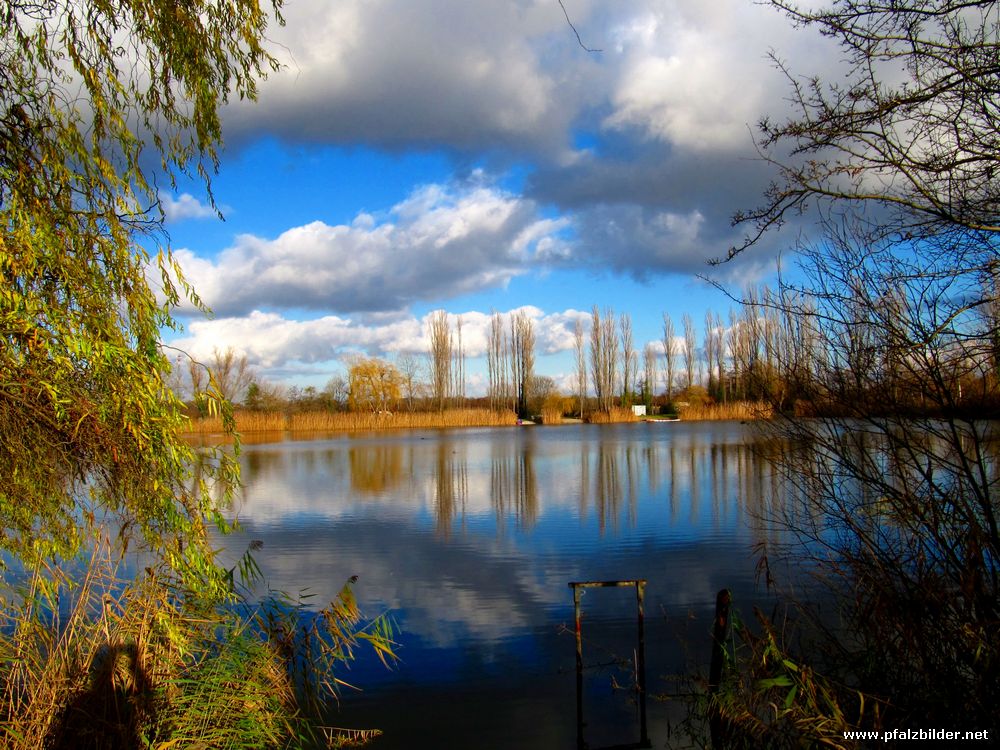 Flugplatzweiher Dannstadt~002