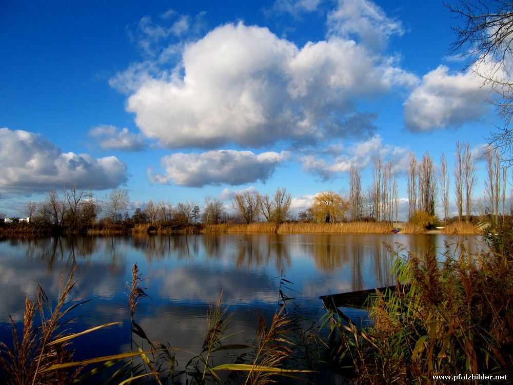 Flugplatzweiher Dannstadt~004