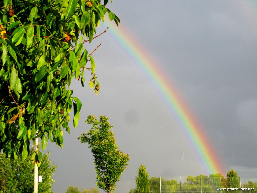 Regenbogen Roedersheim~003