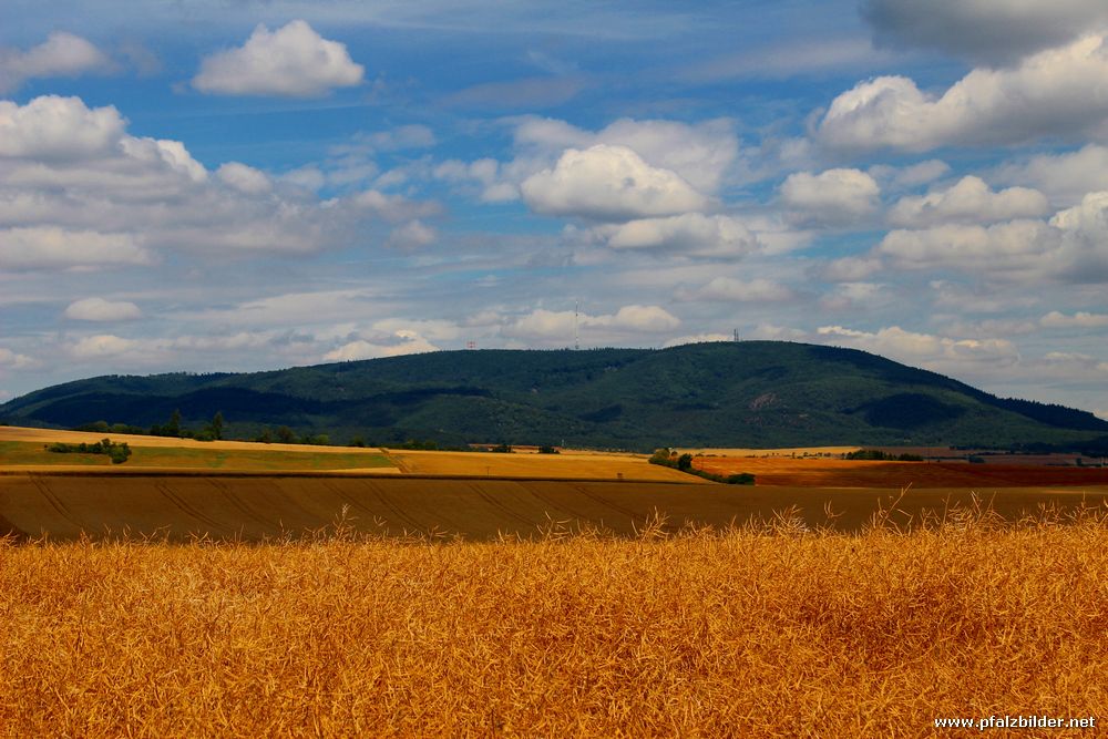 Donnersberg~003