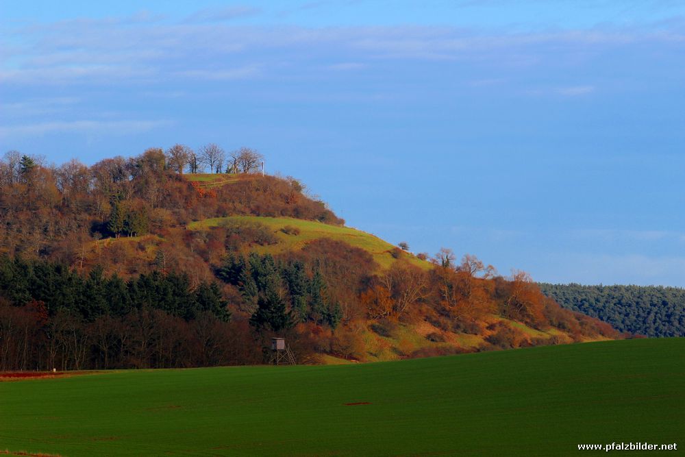 Burg Stauf~005