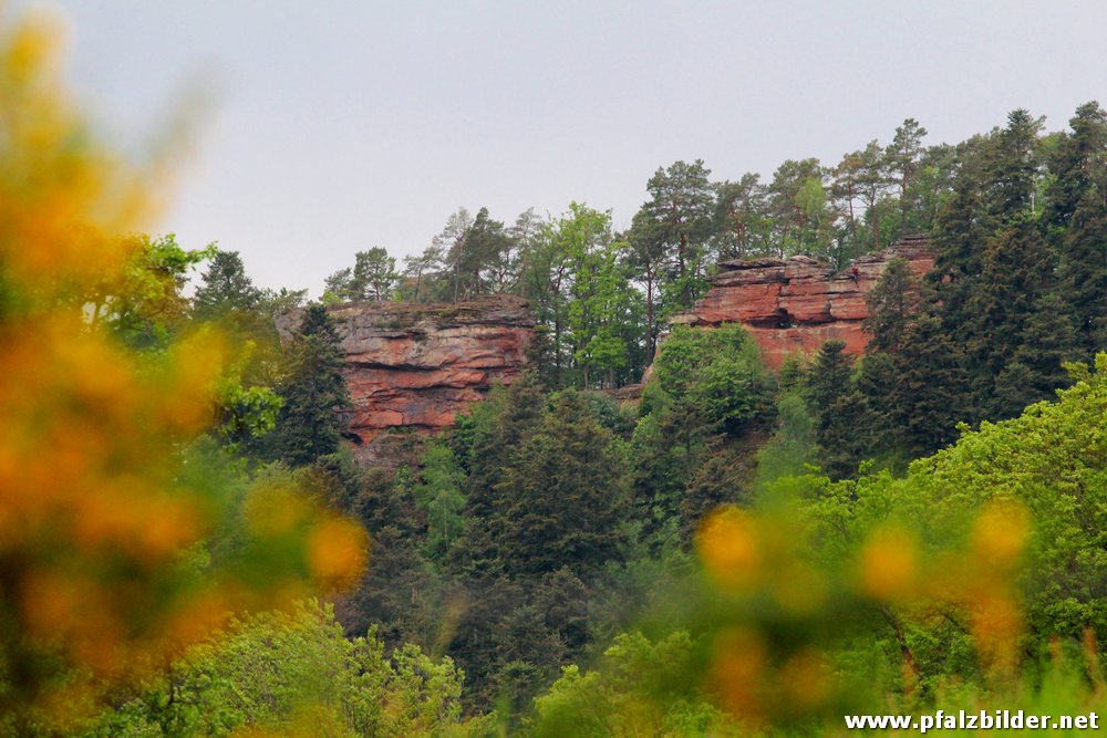 Langfelsen Gimbelhof~002