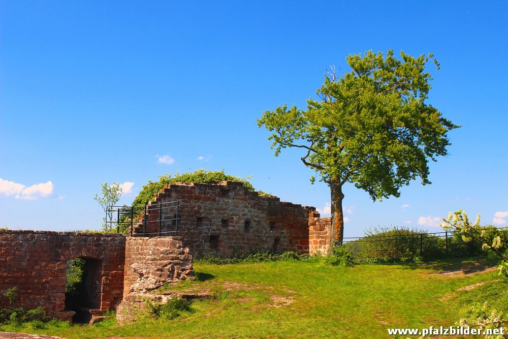 Burg Lindelbrunn~003