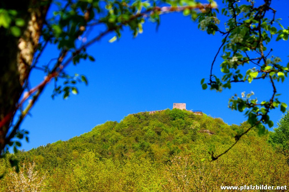 Burg Lindelbrunn~011