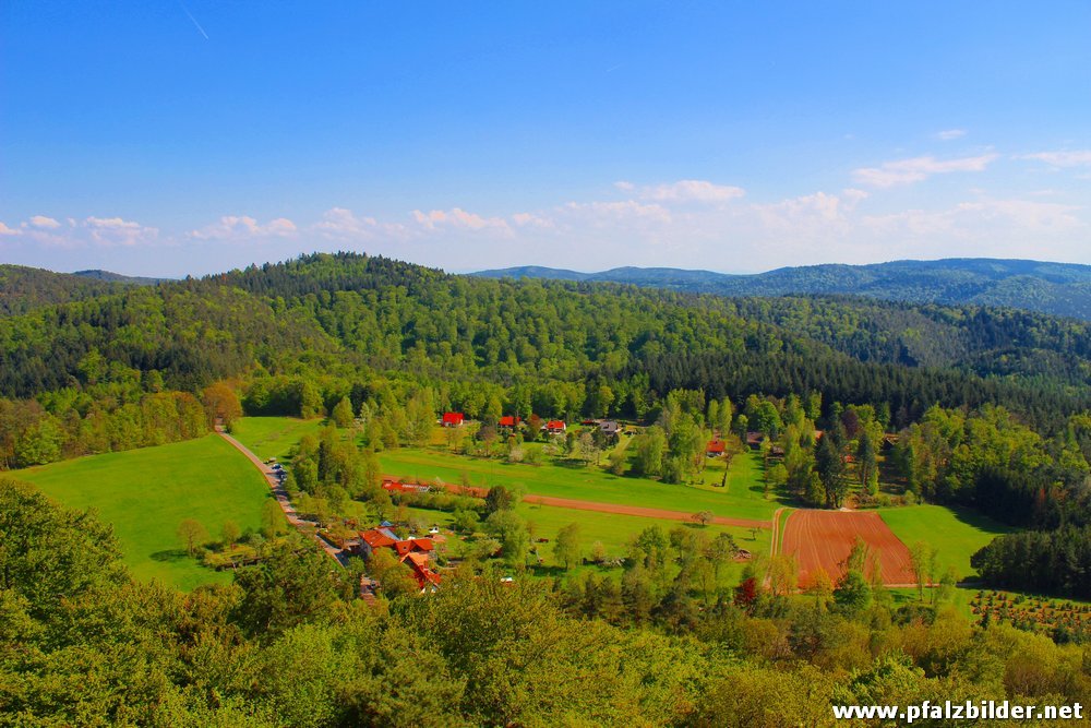 Burg Lindelbrunn~013