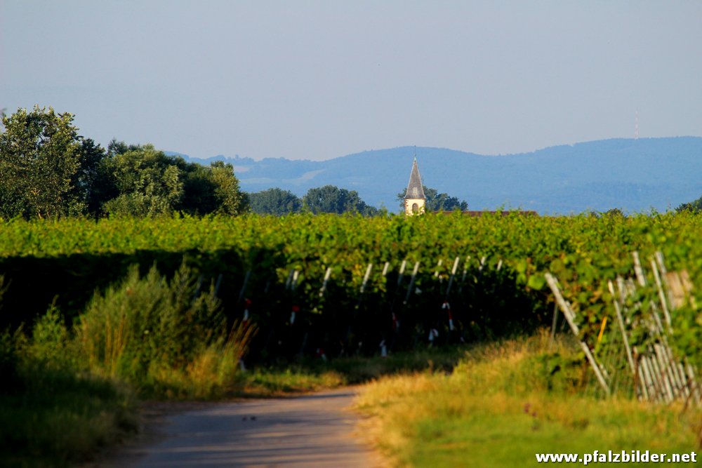 Kirche Roedersheim~001