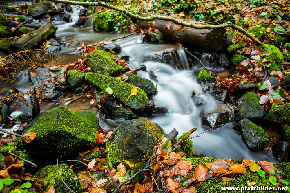 Benjental Mussbach~001