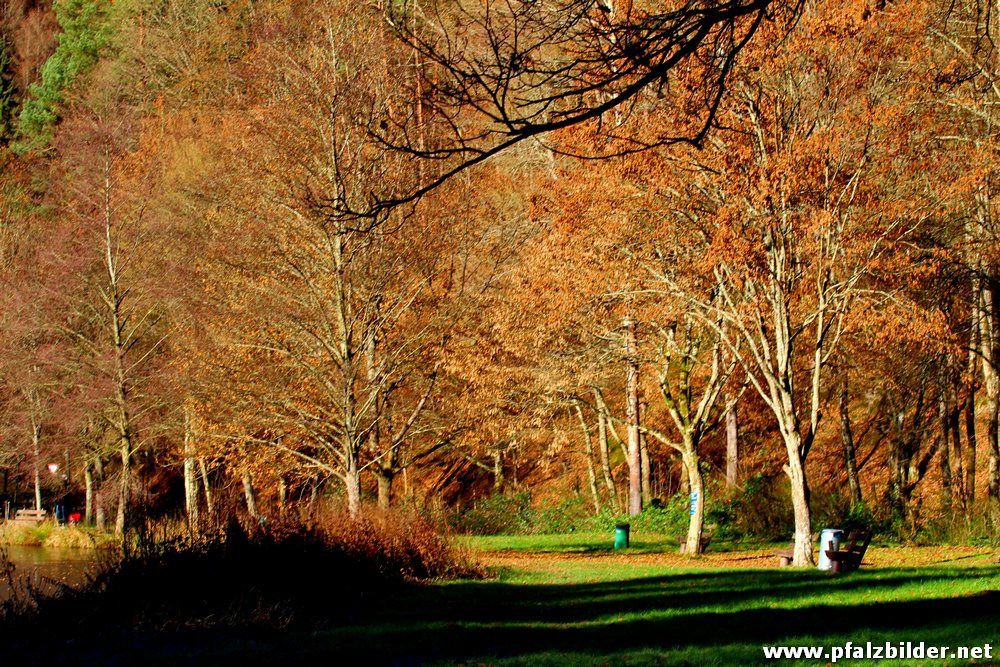 Helmbachweiher~002