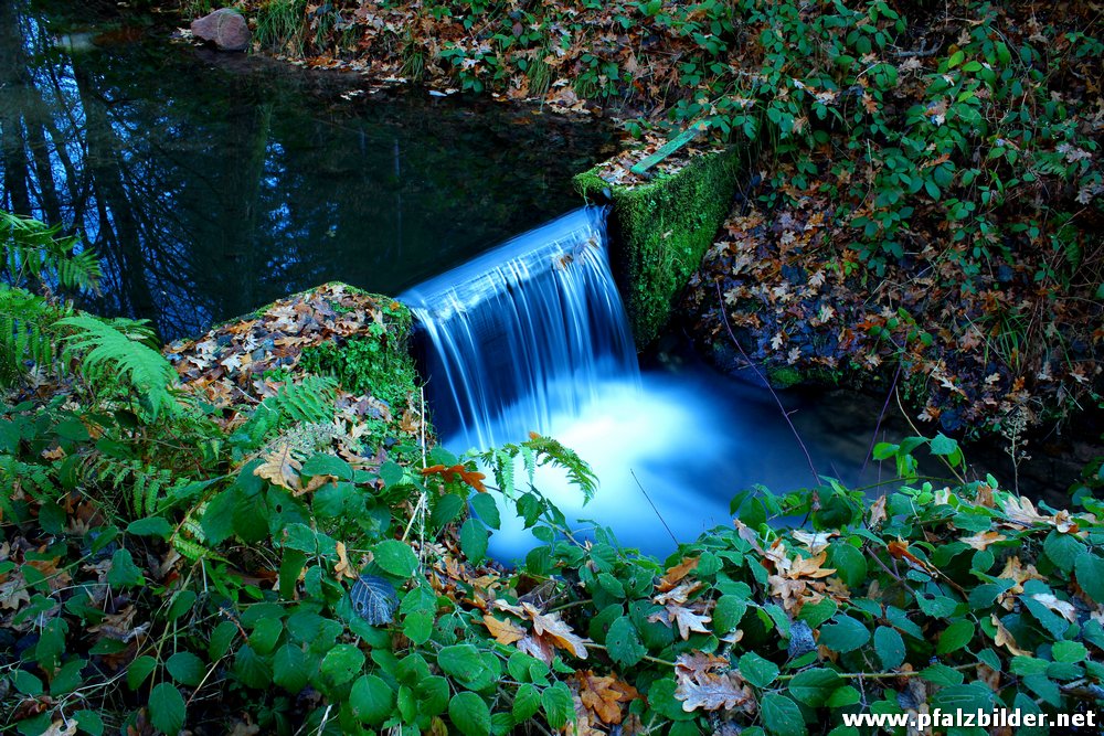 Helmbachweiher~003