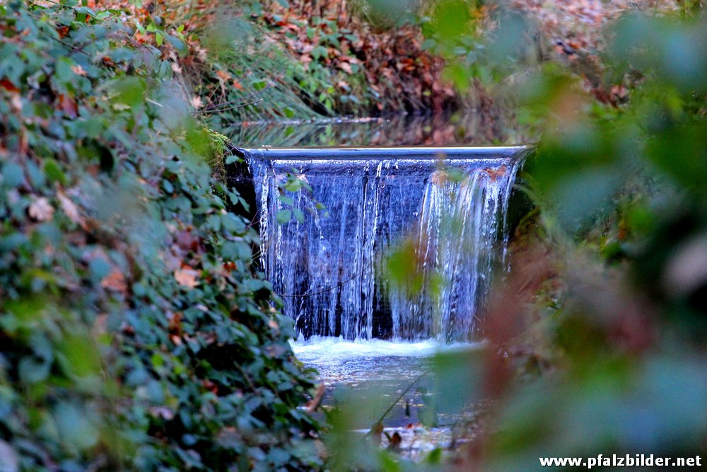 Helmbachweiher~006