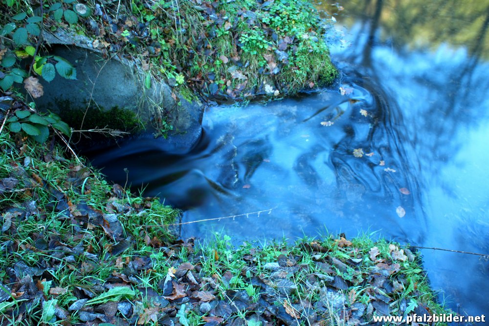 Helmbachweiher~008