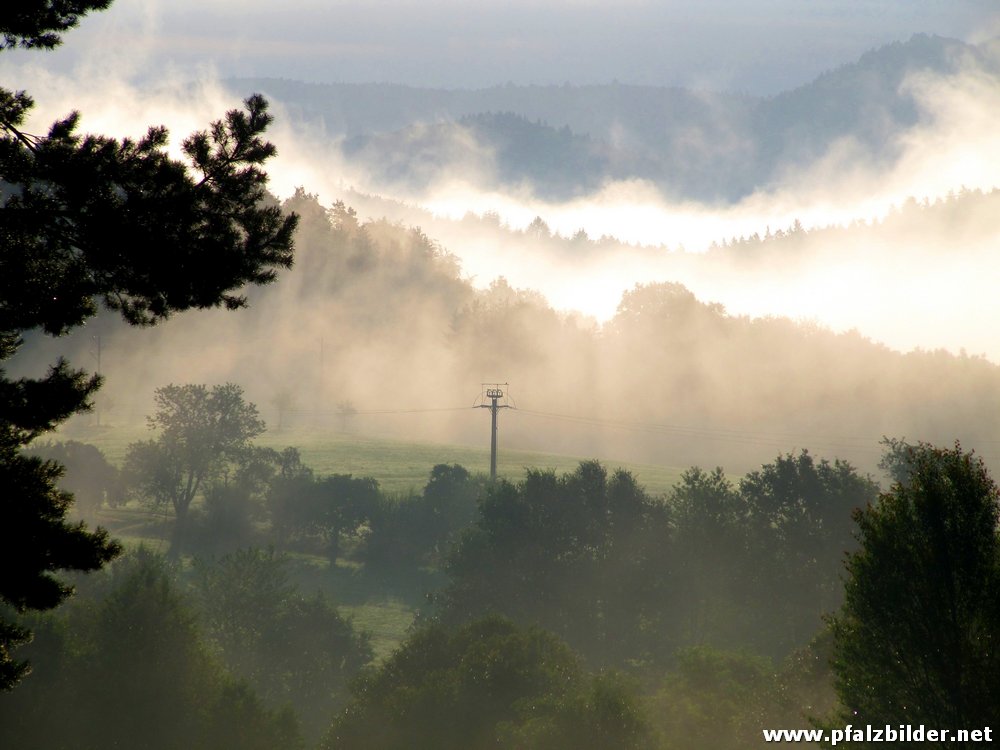 Sonnenaufgang Nebel~002