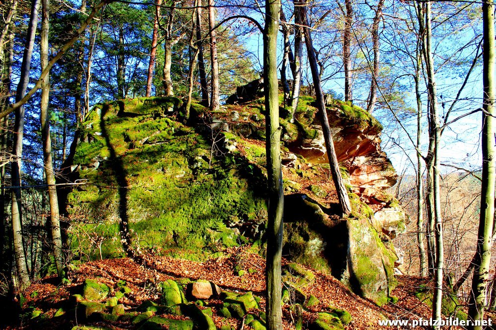 Burg Erfenstein~005