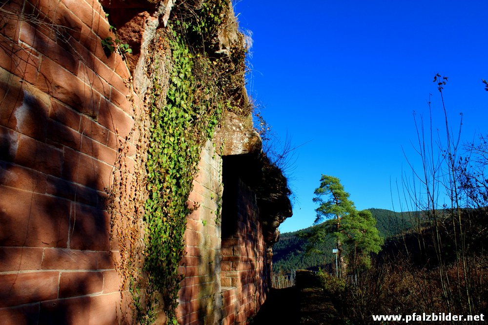 Burg Erfenstein~007