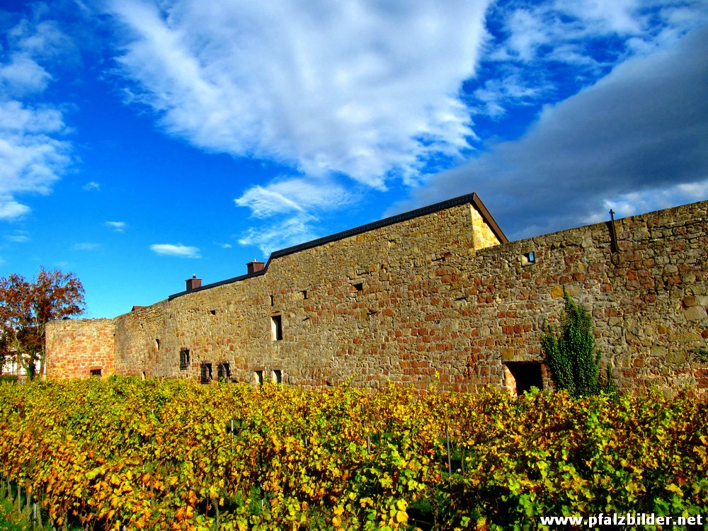 Wachenheim Stadtmauer~001