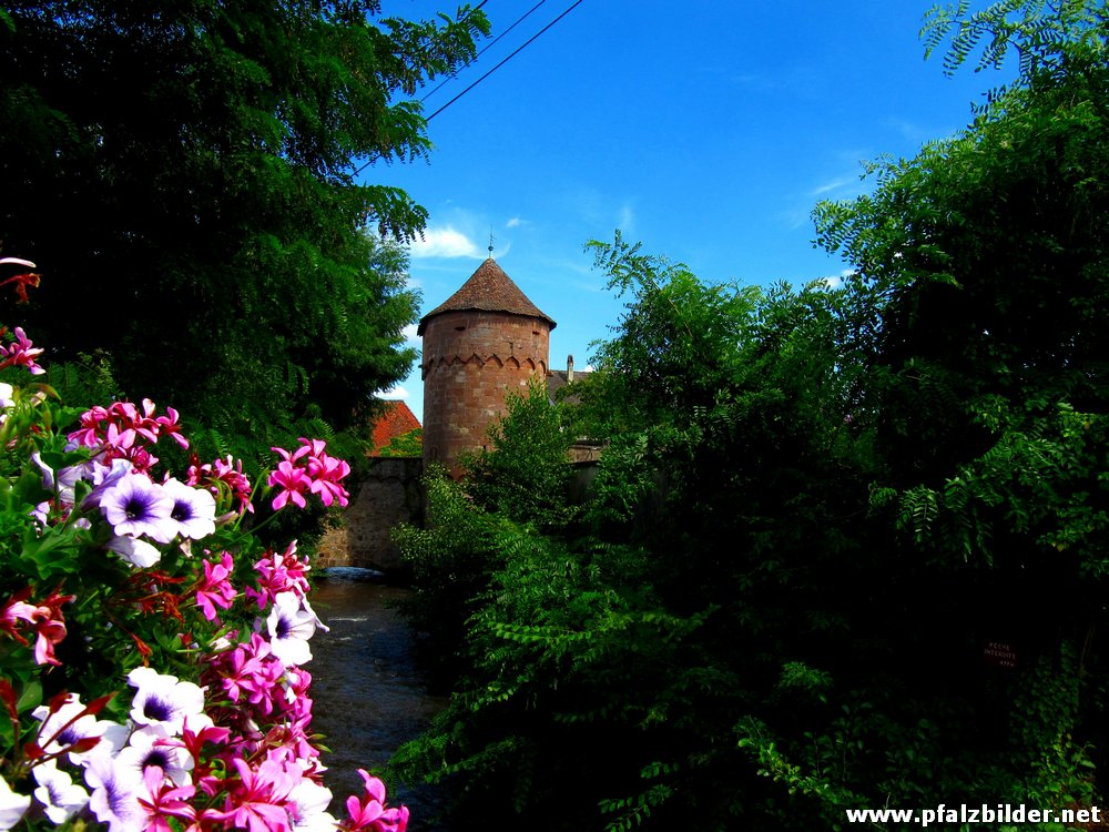 Wissembourg~027