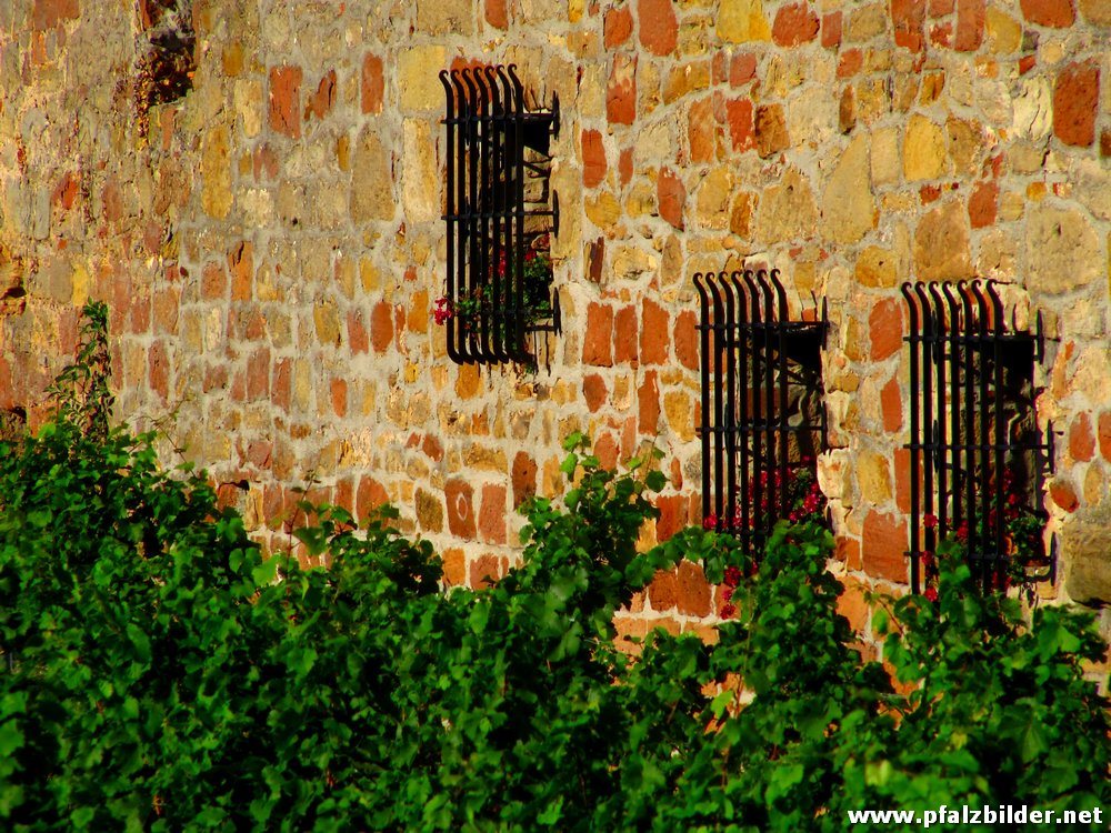 Wachenheim Stadtmauer~003