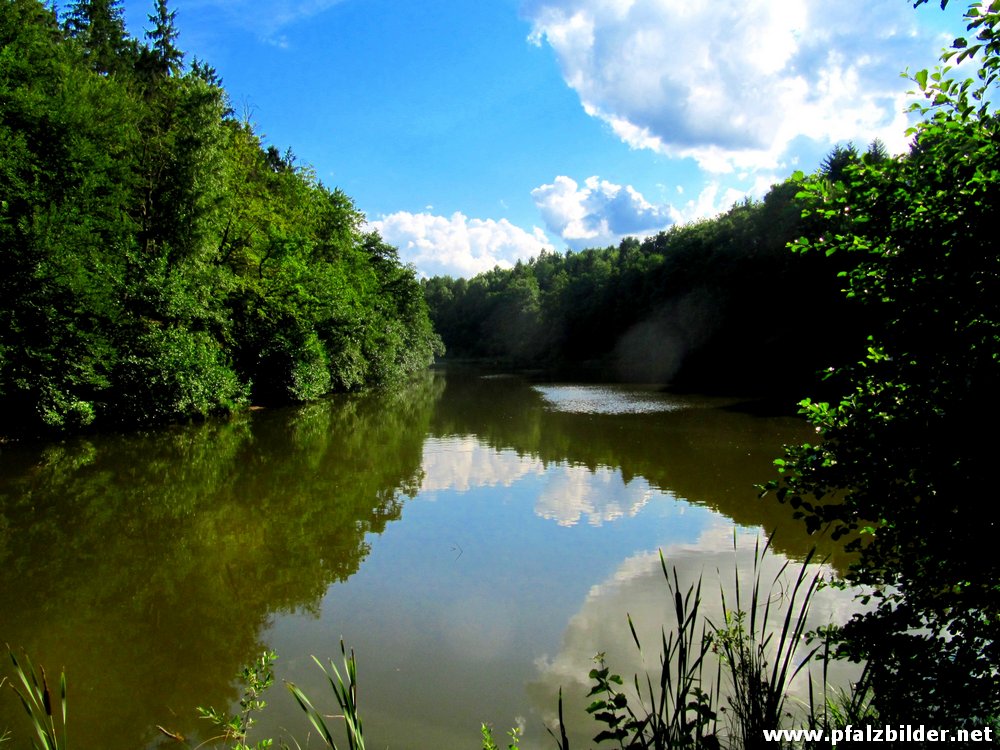 Sippersfelder Weiher~001