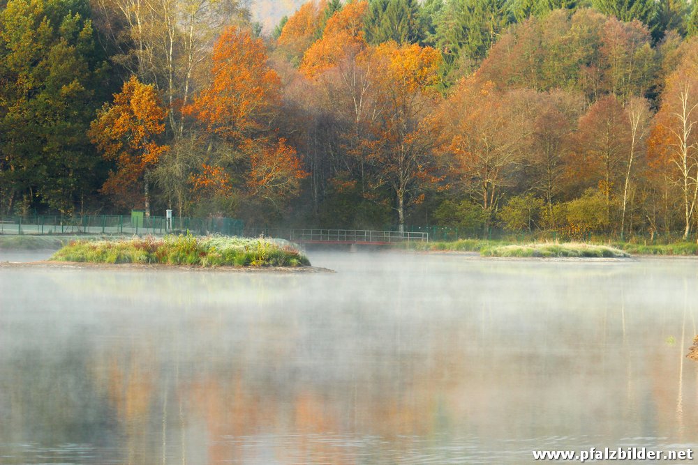 Saarbacherhammer Muehlweiher~003