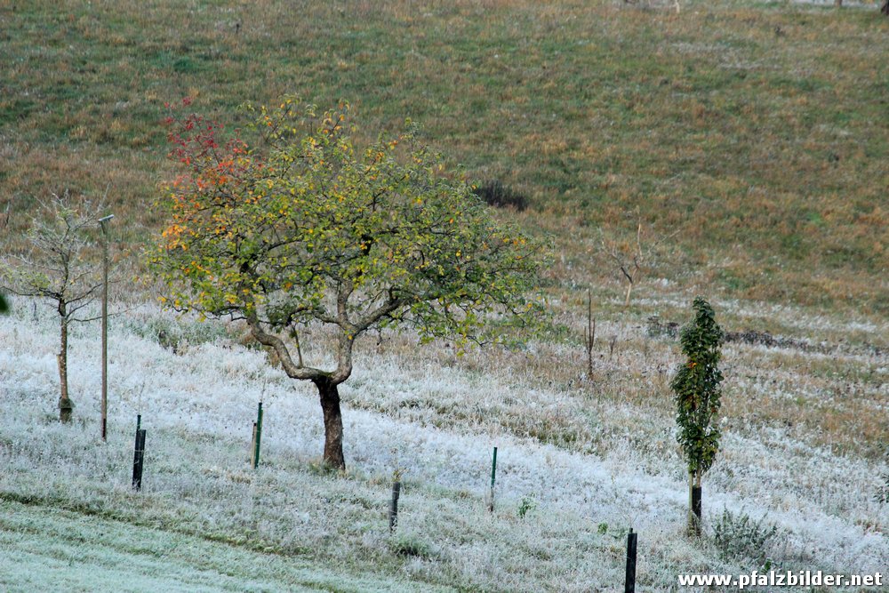 Kappellenfels~004