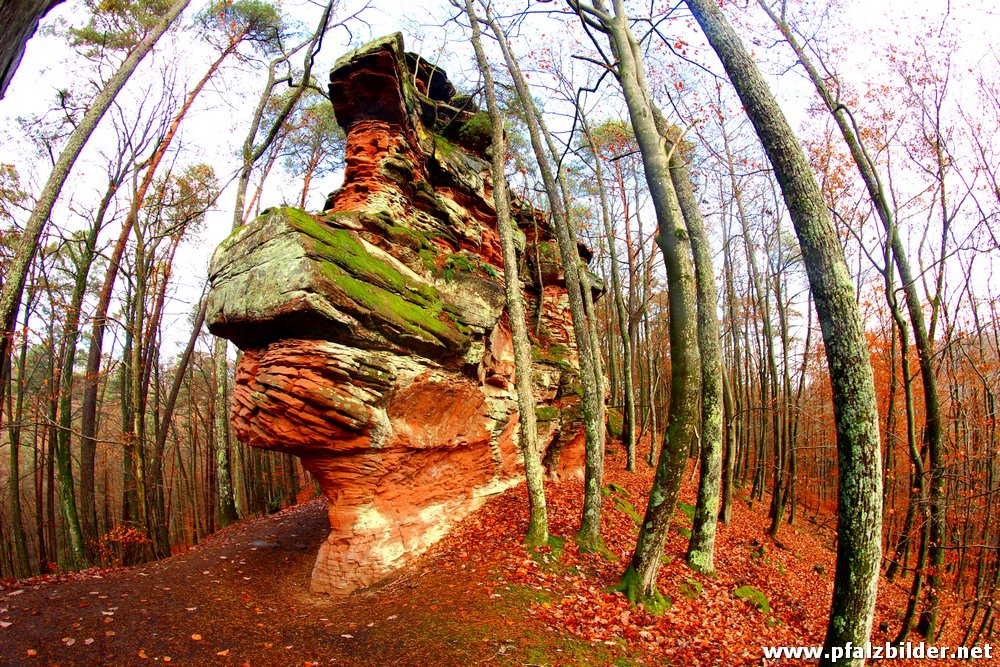 Rumberg Felsen~008