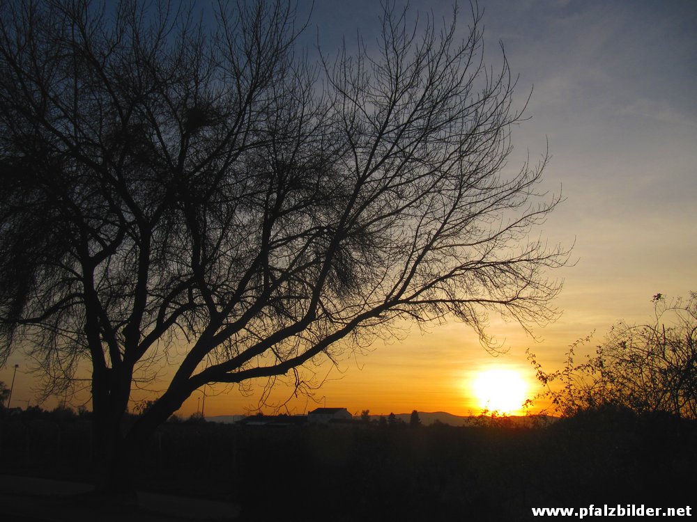 Sonnenuntergang~003