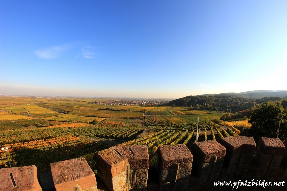 Flaggenturm Herbst~009