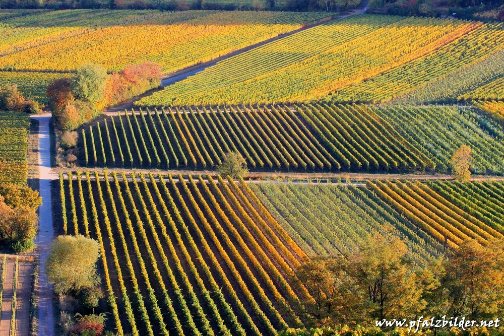 Flaggenturm Herbst~012