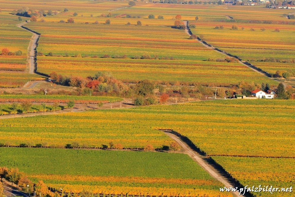 Flaggenturm Herbst~017