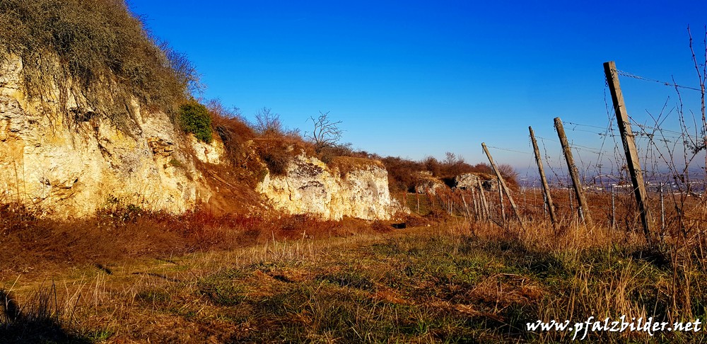 Kalkfelsen Leistadt~001