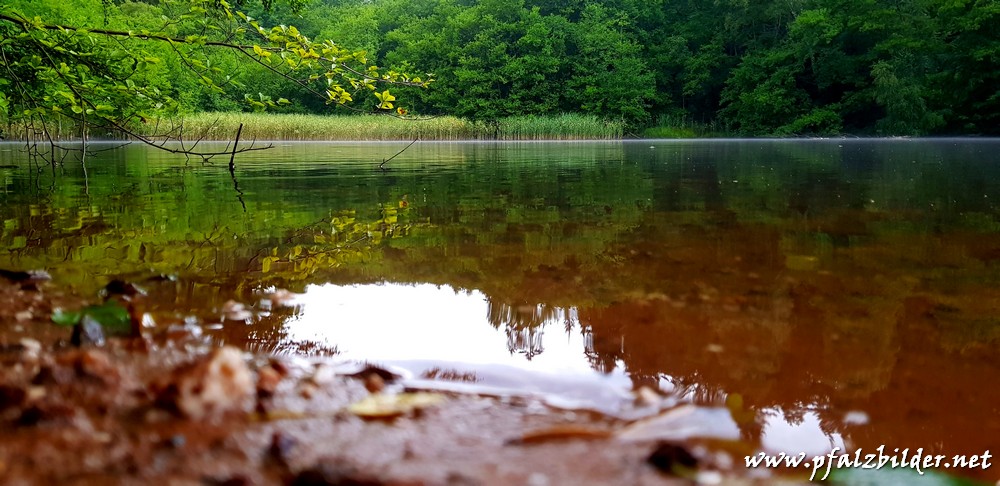 Sippersfelder-Weiher~009