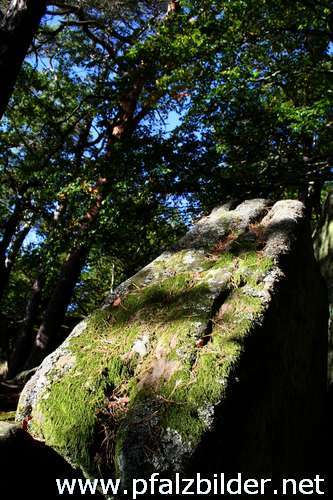 009~Heidenfelsen