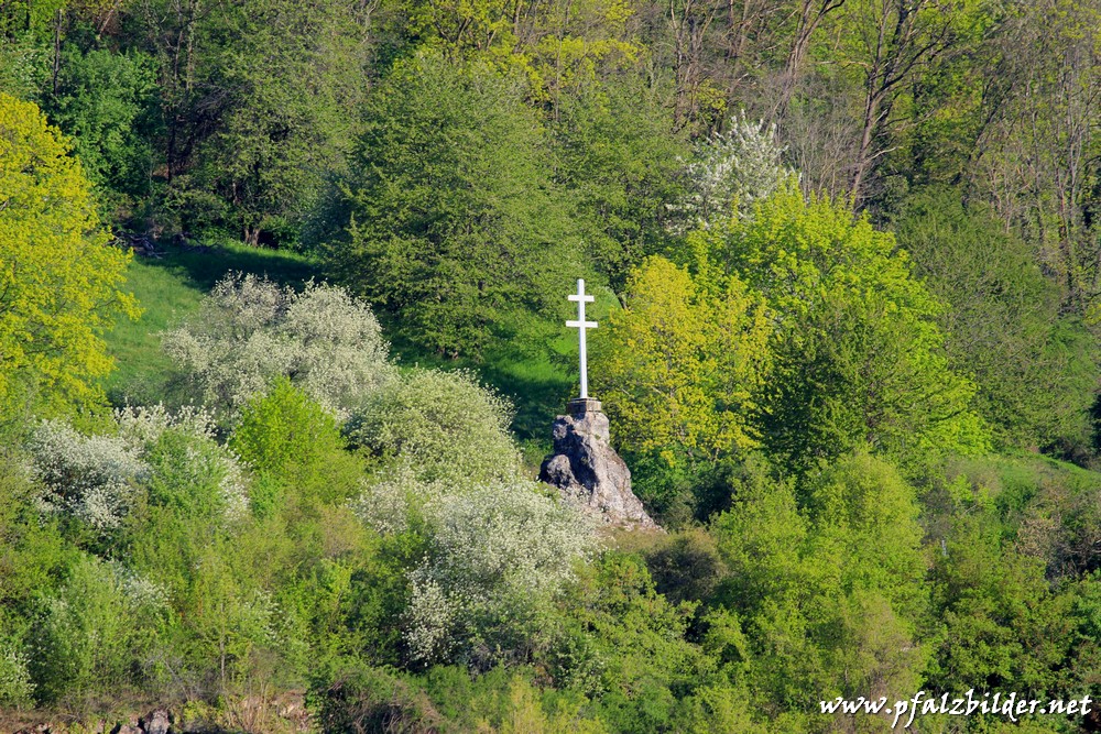 Haardtrand-Deidesheim-Forst~003